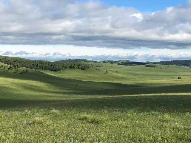 在线观看 百臀山