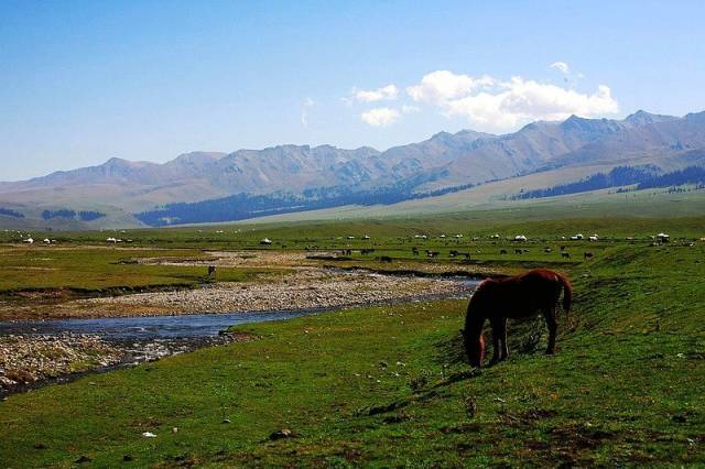 在线观看 百臀山 它值得您花时间欣赏