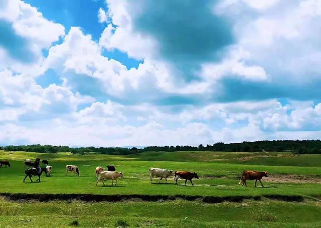 无限臀山艳曲填词