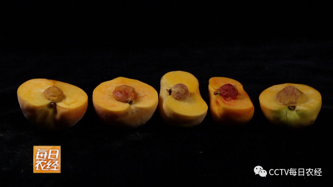 国产三级无码精品电影在线播放 还强化了内容审核机制