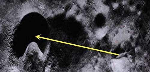 臀膜视频 我非常乐意为你提供帮助