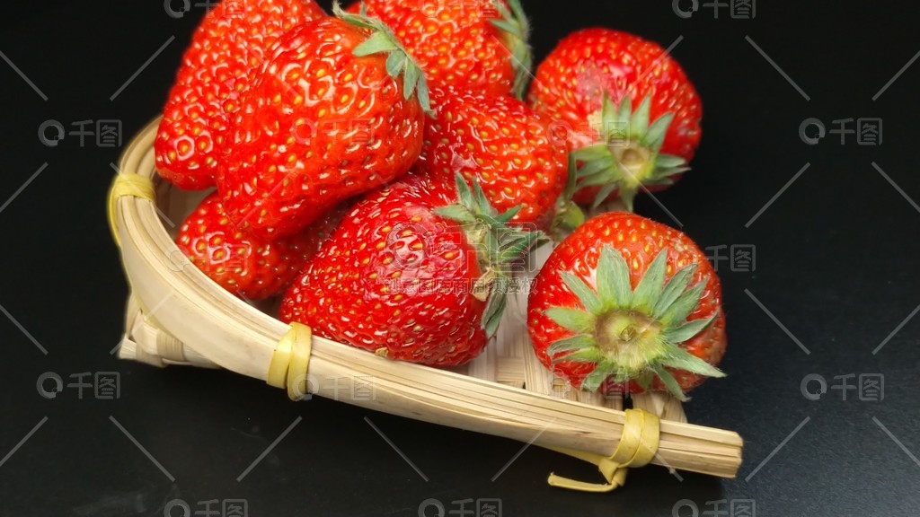 每日挑战yandex 每日SEO专家还是挑战学生）