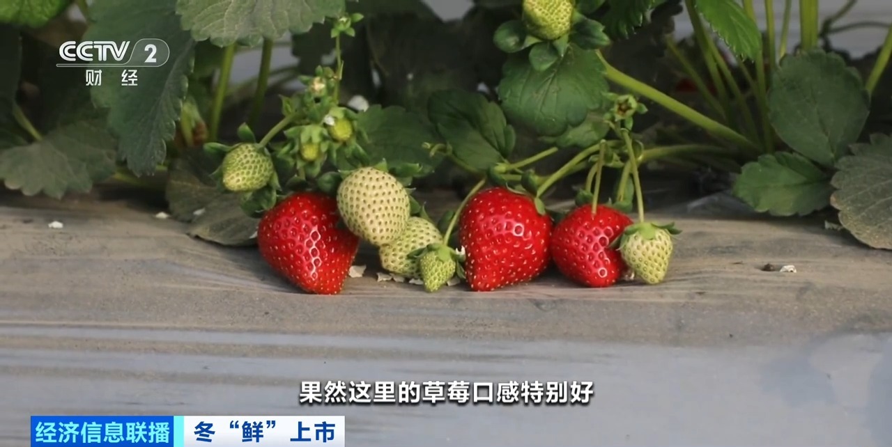 海角吃瓜入口 海角多元的吃瓜娱乐内容