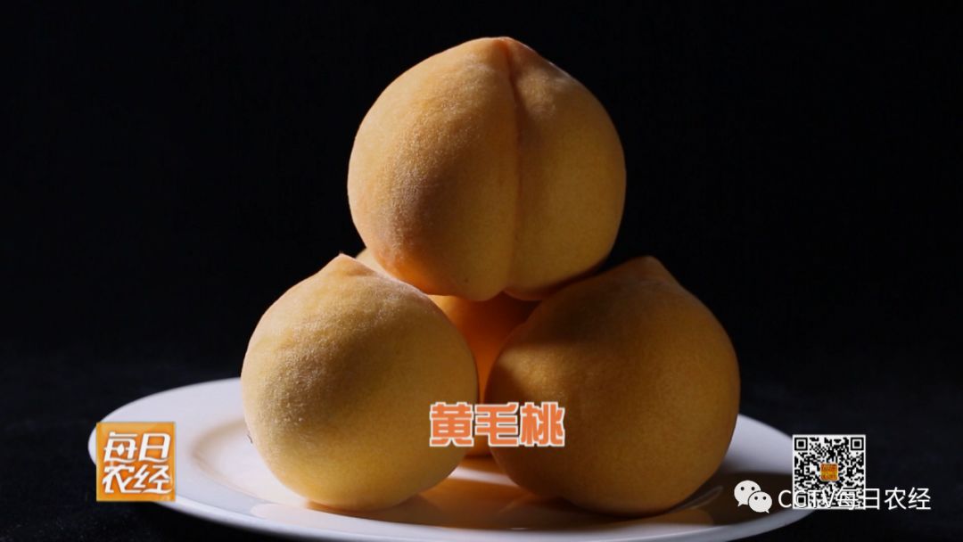 各种小马拉大车合集 简易软件处理大规模数据