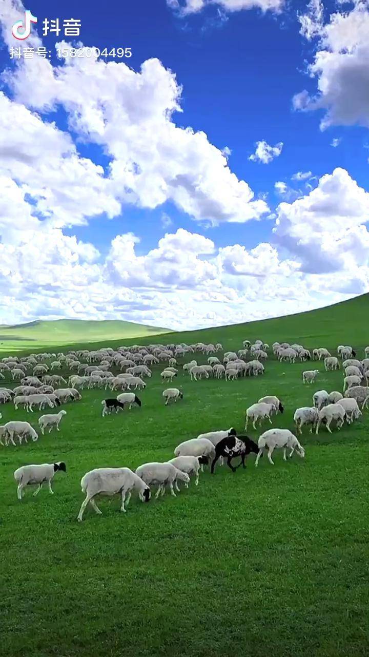 新兴视频 新兴视频参与问答和投票