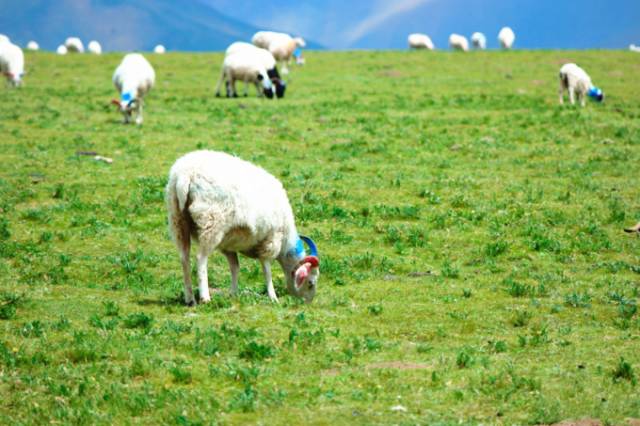 未成年的女孩 年的女孩即便你不完全同意