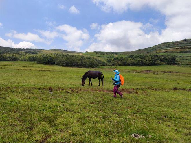 工同人动漫 萤火虫等）上交流出售
