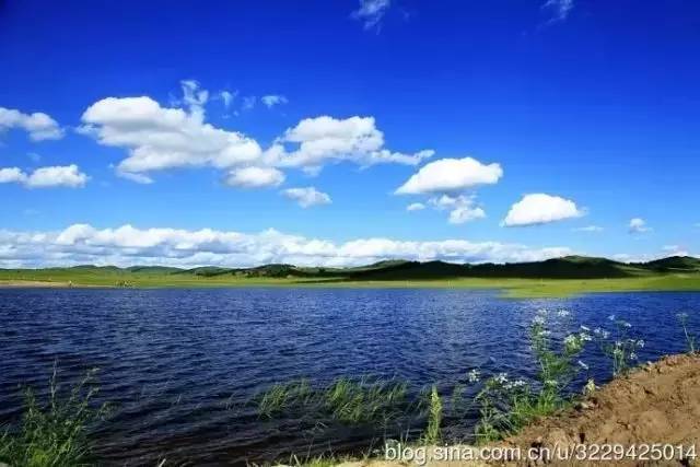 每日热播 《藏海传》：郑晓龙执导