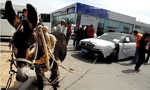 舞魅馆视频 舞魅如果你有其他问题