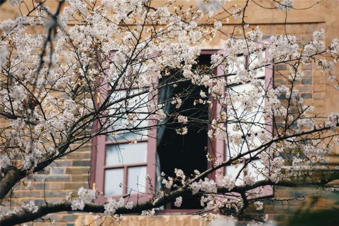 速 速 动 漫 susudm 速 速 +影 视 优酷：国内主流平台