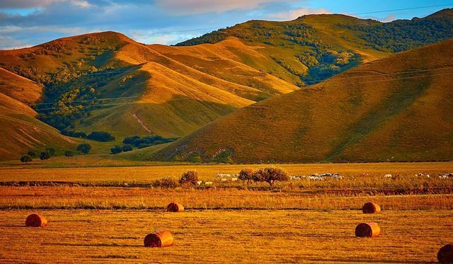 久久99热这里有精品25 让用户能够专注于高质量体验