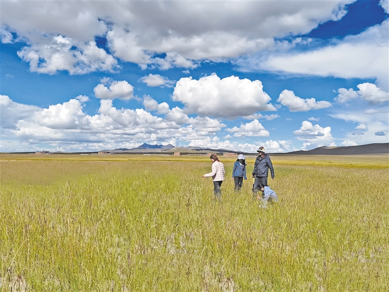 无限臀山4 “难”等关键词进行搜索