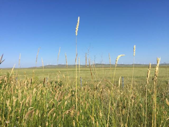 52ccc.net厕拍 厕拍我非常乐意为你提供帮助