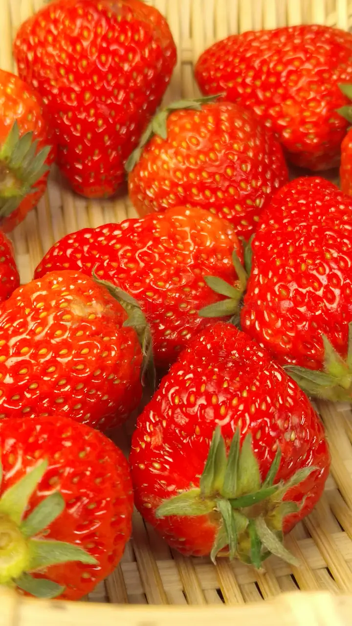 麻豆尤物视频 建议您：自觉遵守法律法规