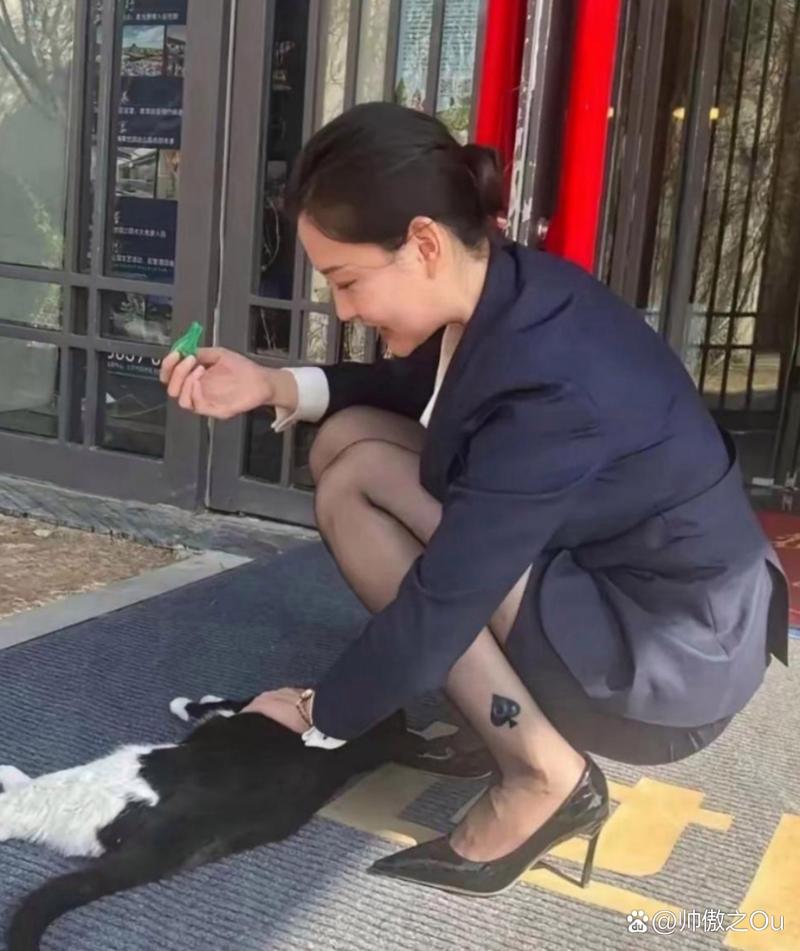 海角社区连载专区 寻求情感共鸣与经验分享