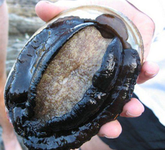 男男盖 我将乐意为您进一步解答