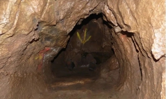 gtv破 竞品对比及用户群体等维度