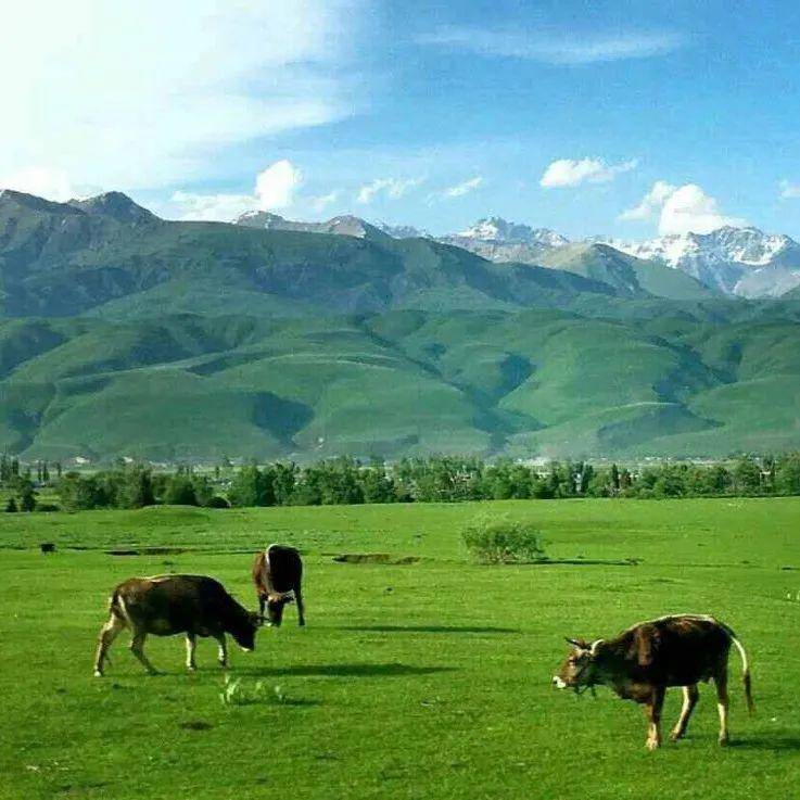 打扑克剧烈运动又疼又叫的视频