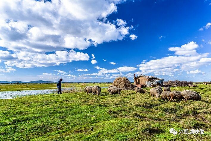 打扑克剧烈运动又疼又叫的视频 打扑动又有偷懒耍滑的克剧