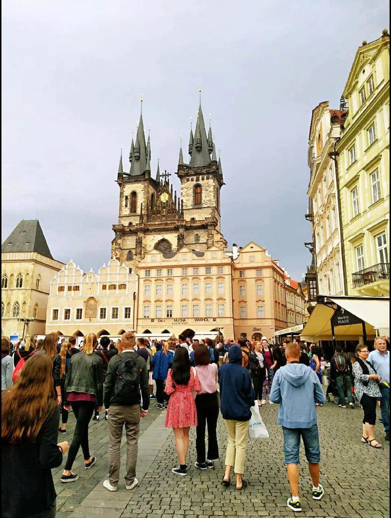 狗欢欢 看起来您提到了“狗欢欢”