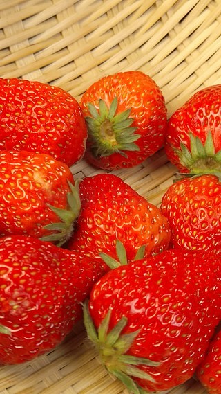 黑料网吃瓜，黑料网吃瓜最新 快”与题材的黑料敏感度