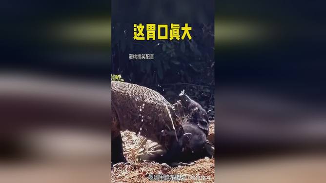 亚洲国产精品无码一区二区久 “二区”等非正式概念