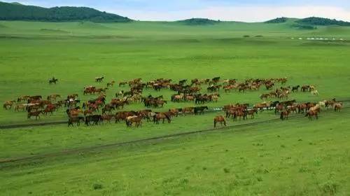 短视频网 尤其在三线及以下城市