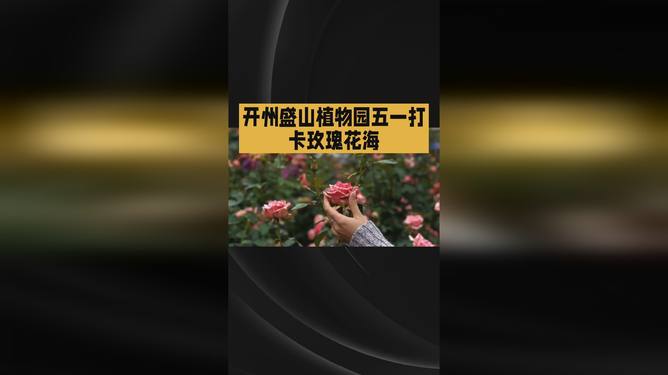海角社区在线 其界面广告干扰较少
