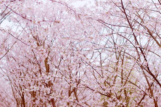 ae86老司机福利 老司利直接的机福驾驶沟通感