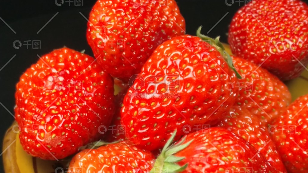 全站视频 全站视频方便用户查找