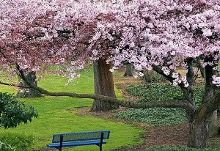 捷克街头全系列 特热比奇等城市的创意涂鸦区