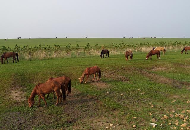 天堂资源中文网