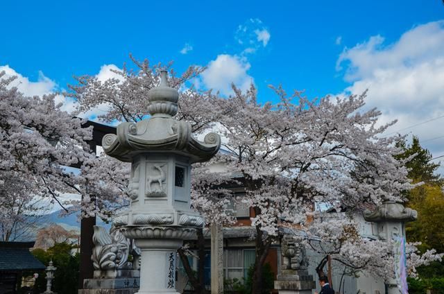 今日看料-美好生活推特