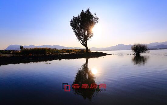 vava在线观看 《中国有嘻哈》等热门综艺