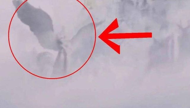 亚洲国产精品Va在线观看麻豆 看麻这些视频五花八门