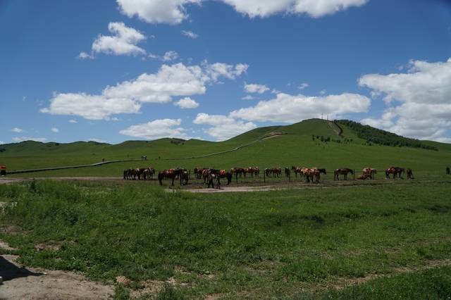 国产精品日本一区二区三区在线看 精品国产精品的日本成功