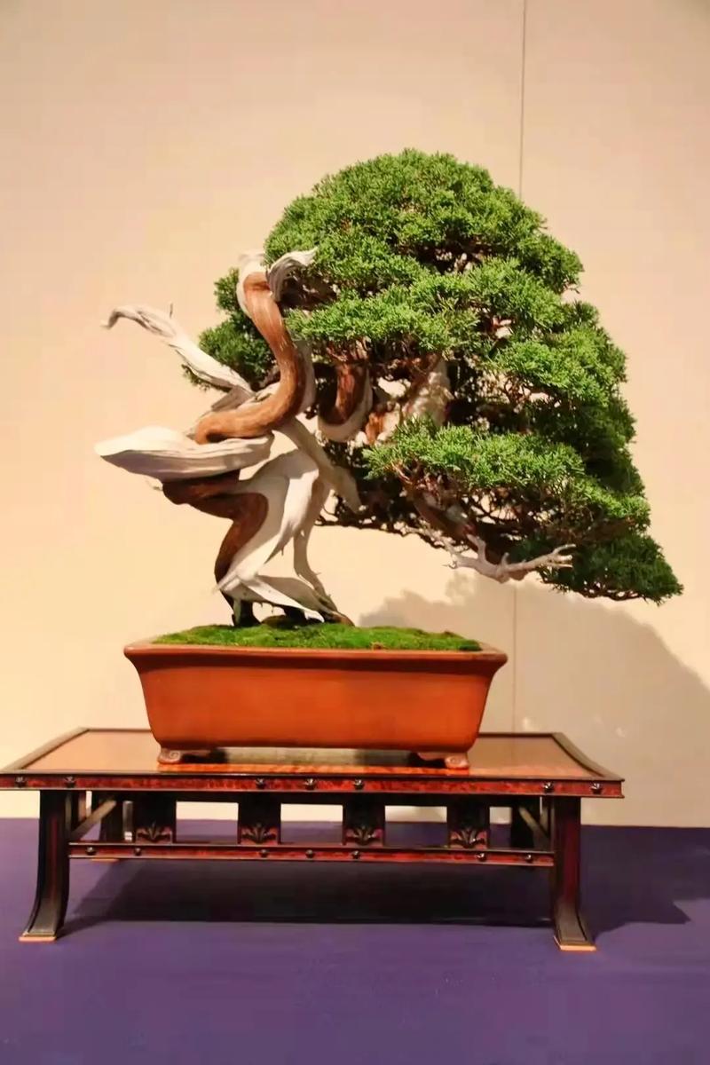 啦啦啦在线看免费观看大全 看免我常用它看综艺