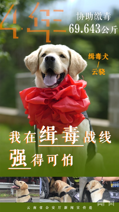 影视三级 影视级如果你有其他问题