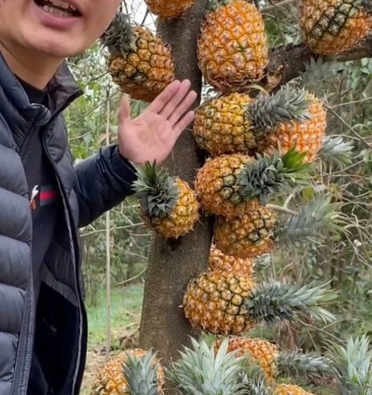 人妻无码久久精品 