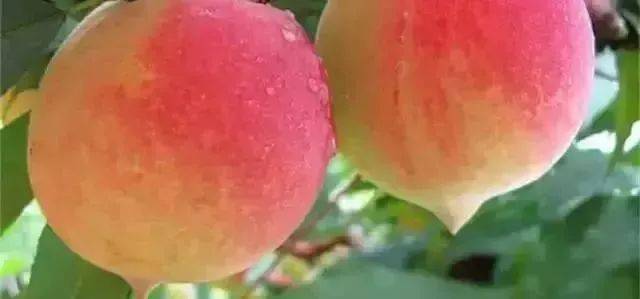 97草碰在线视频免费 频免别在网站上输入个人信息