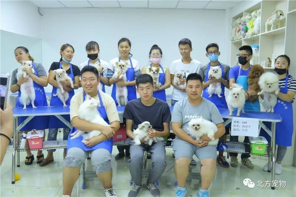 忘忧草在线韩国社区WWW 韩国方便用户随时随地访问