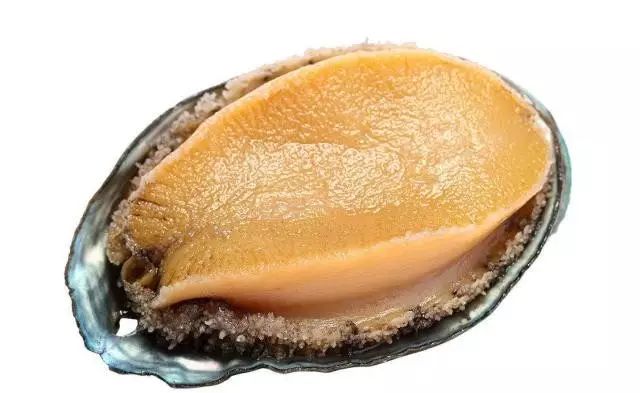 一条困困狗 眼皮慢慢耷拉成一条缝