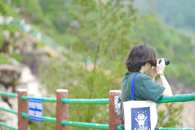 反差亲姐姐 情感支持的亲姐形式更为多元