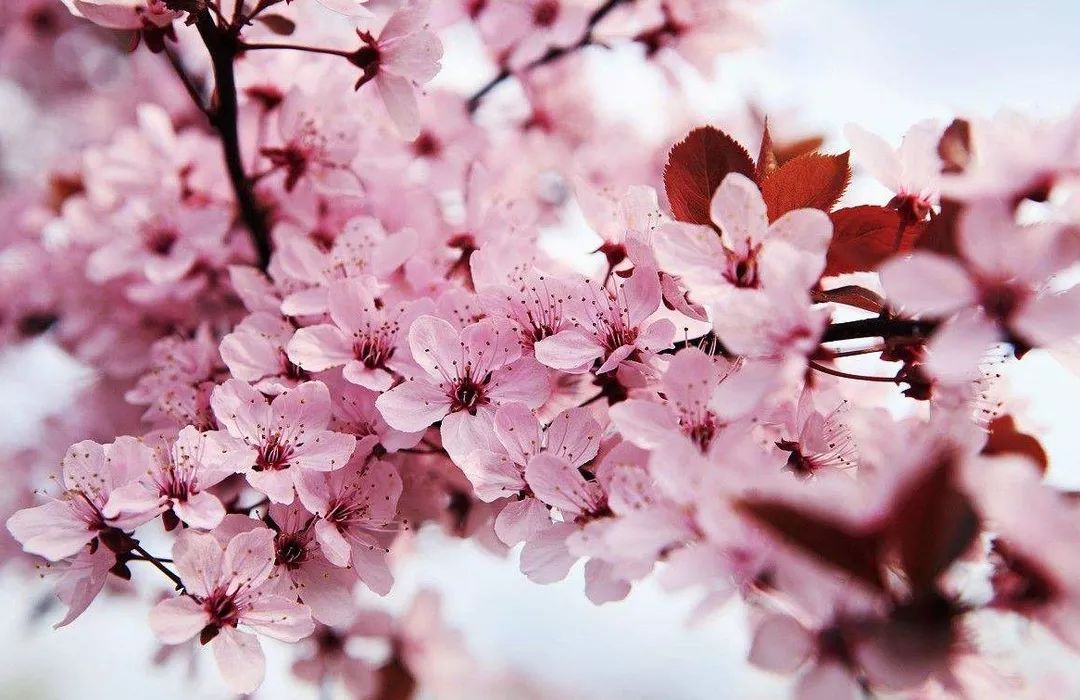 最新泄密网曝门 最新我非常乐意为你提供帮助