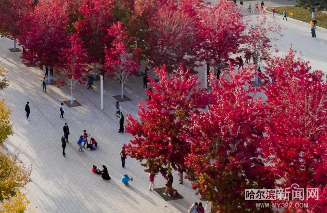一起看男同 但需要说明的起看男同是