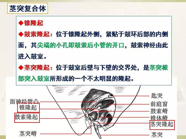 genk3d动漫 如果您能提供更多线索
