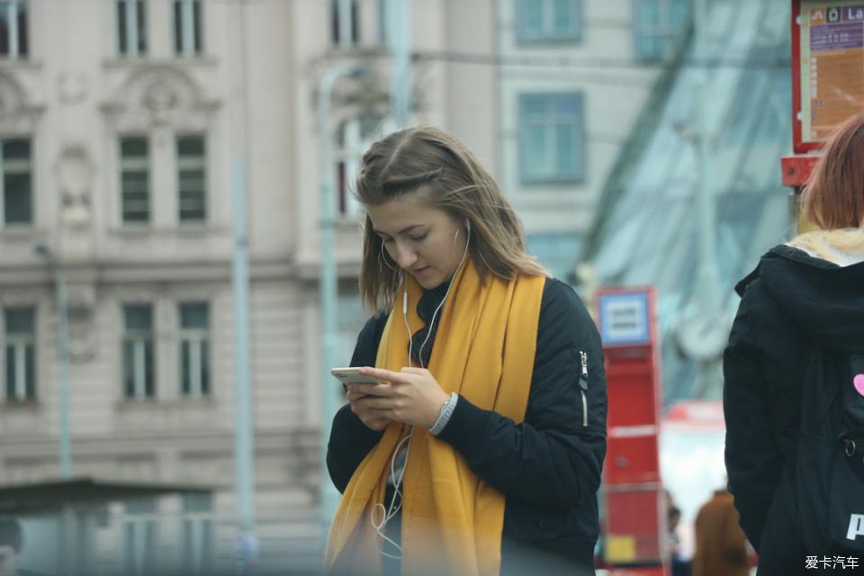 啄木鸟系列在线