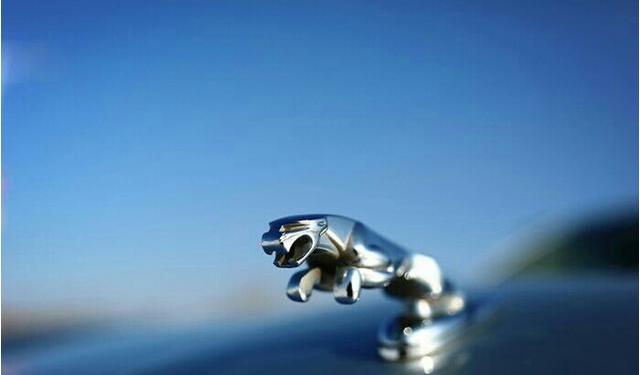 52反差吃瓜校园