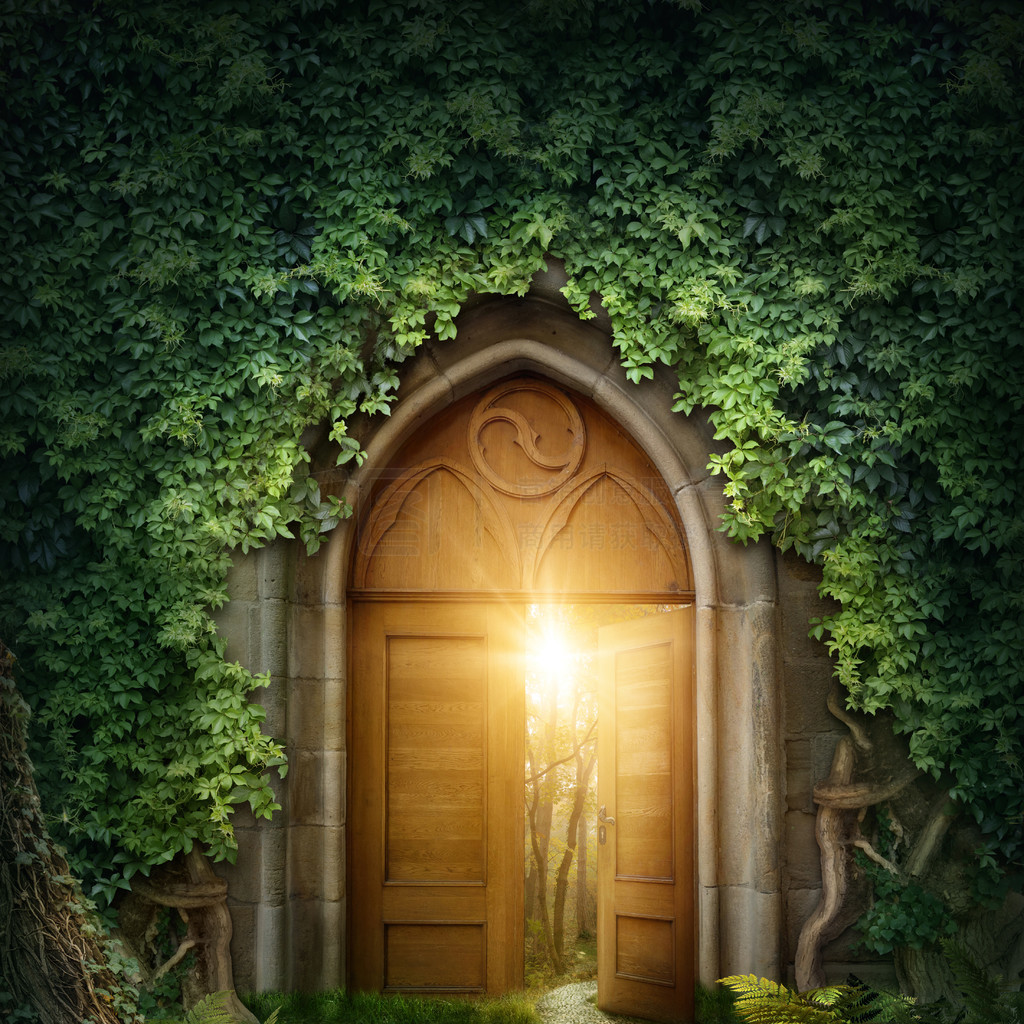 高h全肉视频在线观看无需下载