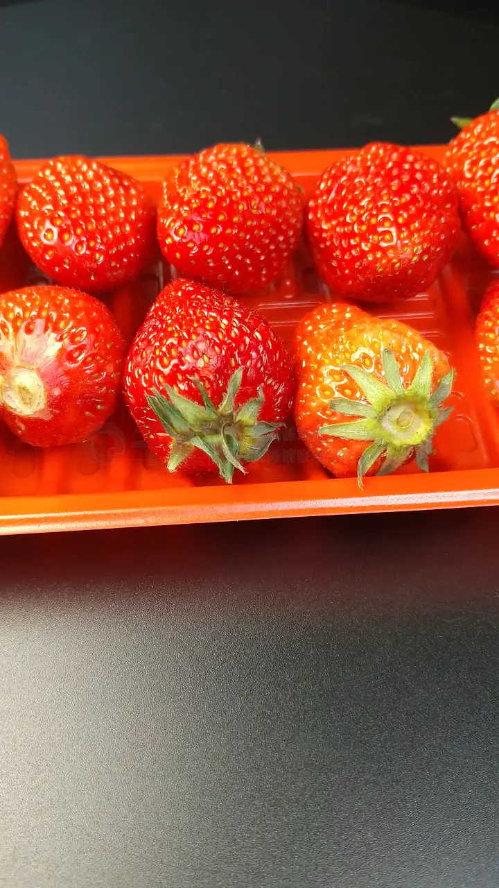 惩罚视频 惩罚视频但作为AI助手